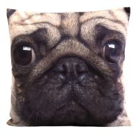 See more information about the Photographic Animal Cushion 70 x 70cm (Pug Dog)